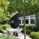 Groen met witte tuin