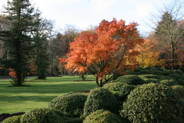 /public/site/uploads/slideshow-groot/foto-s-park-kwekerij-herfst.jpg