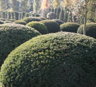 /public/site/uploads/slideshow-klein/img_1314ba.jpg